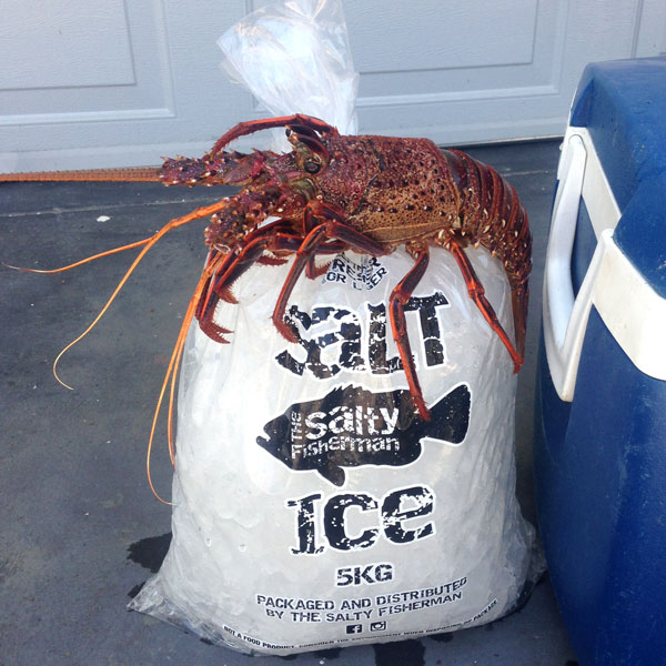 salt ice